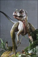 Baby rex