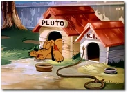 40705-Pluto