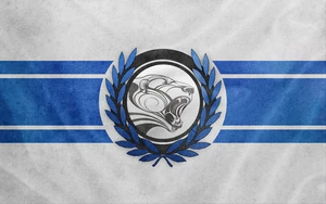 Flag of TIO