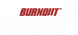 Burnout Crash Logo