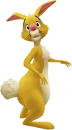 Coco lapin