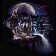 Night-Wolves