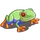 Red Eye Frog