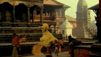 PBS-BigBird