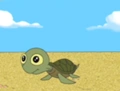120px-Young turtle.png