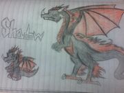 Shadow2