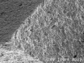 Ceramic fractured SEM.JPG
