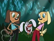 Brandy-and-Tiffany-brandy-and-mr-whiskers-26476006-320-240
