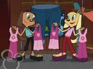 Brandy-and-Tiffany-brandy-and-mr-whiskers-26476008-320-240