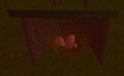 Kiwi nest 2 stranded 2