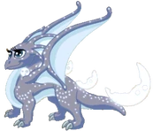 MoonDragonAdult
