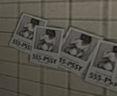 555-PSSY Ads