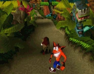 Hog wild