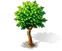 Present tree12