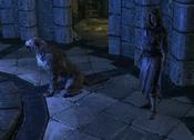 Brelyna dog