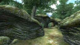 Cracked Wood Cave