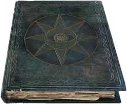 ShalidorsInsightsBook