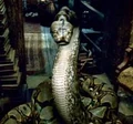 My Beloved Nagini.jpg