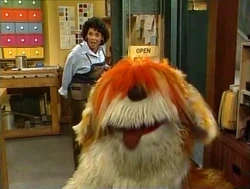 BarkleyInOut1