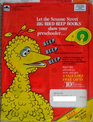BigBirdBeepBooksAd 2