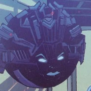 Face