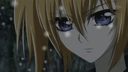 Rima6