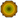 Nature Icon Fiber