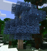 Silverwoodtree