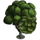 Cypress Sculpted Tree-icon