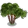 Fan Palm Tree-icon