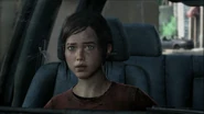 Tlouambush2