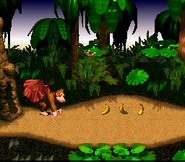 JungleHijinxs