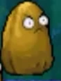 DS Tall-nut.png (13 KB) DS Tall-nut