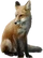 HO SecLPond Fox-icon