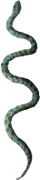 HO SecLPond Snake-icon
