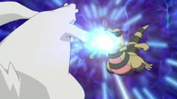 EP741 Beartic vs. Krokorok