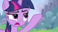 Twilight "Thanks a lot Shining Armor" S2E25