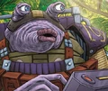 Kashina Furt.jpg