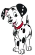 Domino