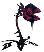 Shadow Baba