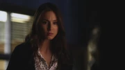 PLL219-01055