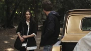 PLL214-00421