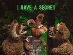 Raccoons