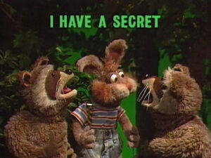 Raccoons