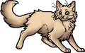 Berrynose.apprentice.alt2
