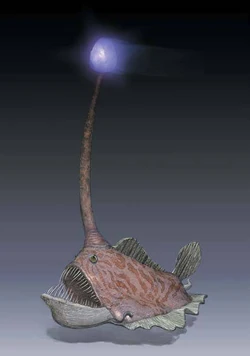Concept sushi