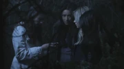 PLL201-1186