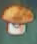 DS Sun-shroom.png (3 KB) DS Sun-shroom