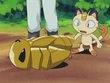 EP290 Kakuna