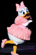Daisy Duck BBB